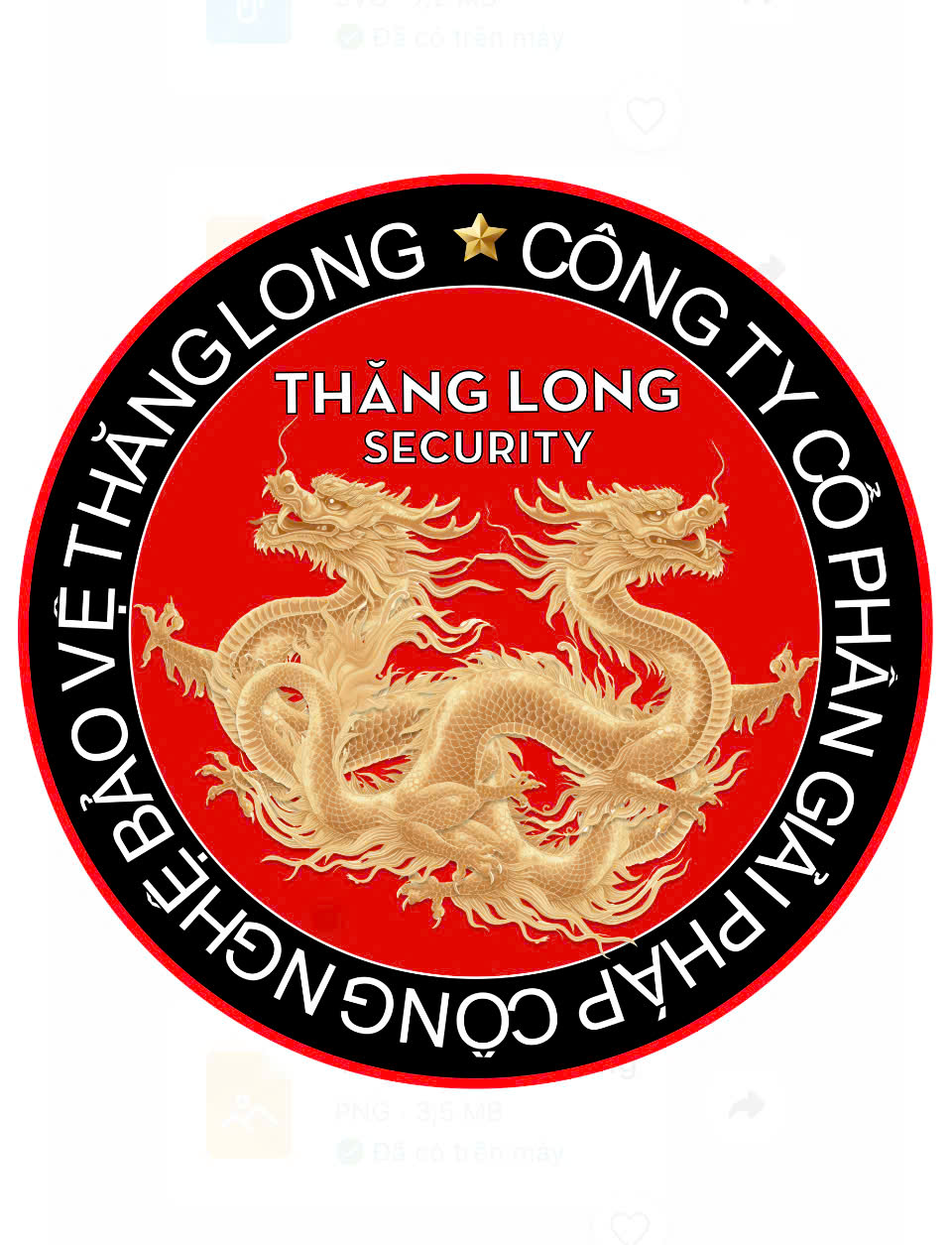 CÔNG TY CỔ PHẦN GIẢI PHÁP CÔNG NGHỆ BẢO VỆ THĂNG LONG